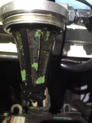 FG trapped a massive slug of bug and the filter completely blocked